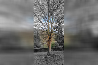  appartement dinan 22100