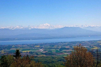  appartement ferney-voltaire 01210