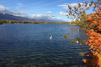  appartement ferney-voltaire 01210