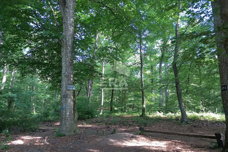  appartement fontainebleau 77300