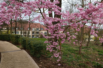  appartement fontenay-le-fleury 78330