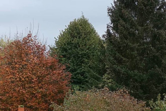  appartement fourqueux 78112