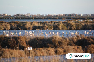  appartement frontignan 34110