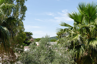  appartement gruissan 11430