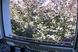  appartement illkirch-graffenstaden 67400