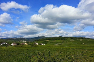  appartement ingersheim 68040