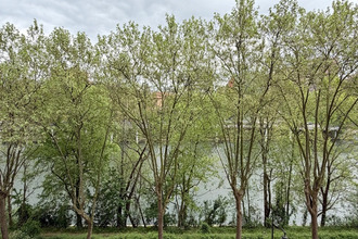  appartement l-ile-st-denis 93450