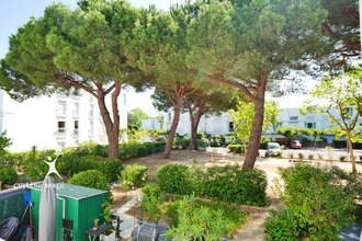  appartement la-grande-motte 34280