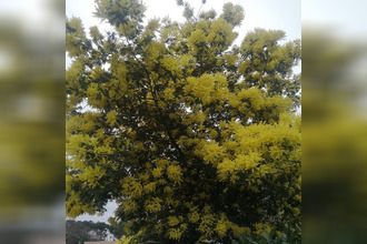  appartement lanton 33138