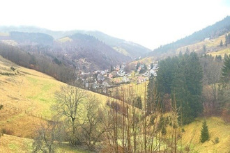  appartement le-bonhomme 68650