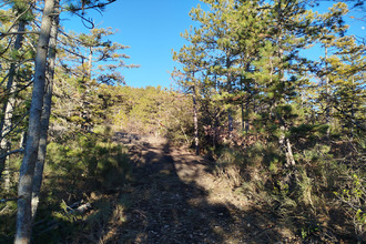  appartement le-brusquet 04420