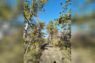  appartement le-brusquet 04420