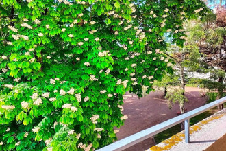  appartement le-coteau 42120