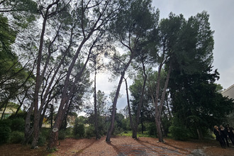  appartement le-cres 34920