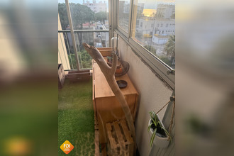  appartement le-grau-du-roi 30240