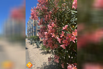  appartement le-grau-du-roi 30240