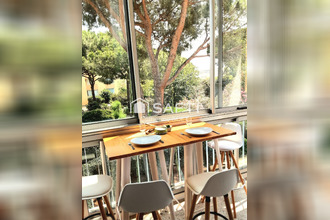  appartement le-grau-du-roi 30240