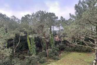  appartement le-verdon-sur-mer 33123