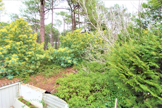  appartement lege-cap-ferret 33950