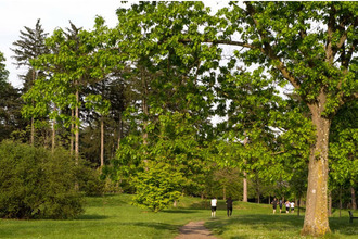  appartement les-clayes-sous-bois 78340