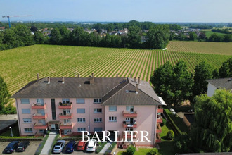  appartement lingolsheim 67380