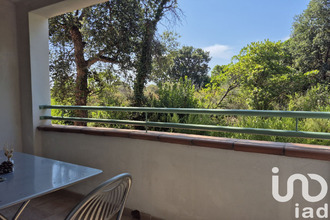  appartement linguizzetta 20230