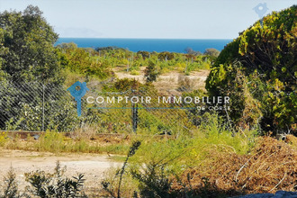  appartement linguizzetta 20230