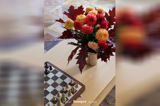  appartement lyon 69001