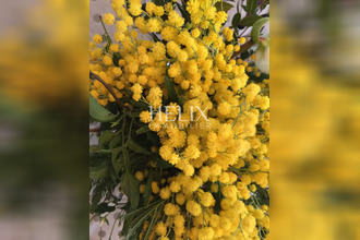  appartement marly-le-roi 78160