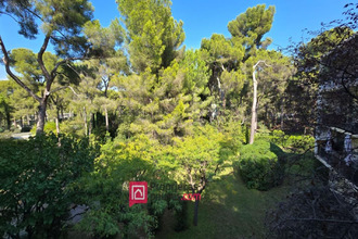  appartement marseille 13008