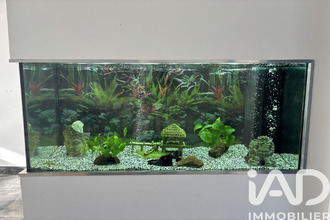  appartement marseille 13010