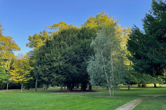  appartement meudon 92190