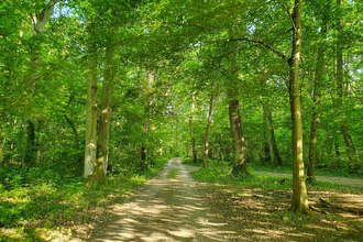  appartement milly-la-foret 91490