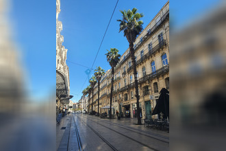  appartement mtpellier 34000