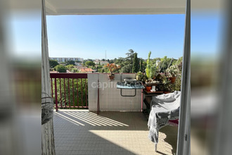  appartement mtpellier 34080