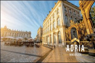  appartement nancy 54000