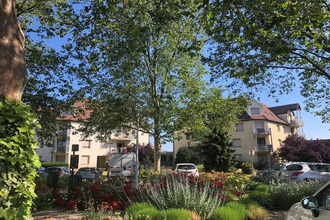  appartement niederhausbergen 67207