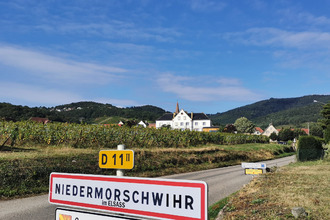  appartement niedermorschwihr 68230