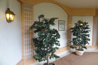  appartement nogent-sur-marne 94130