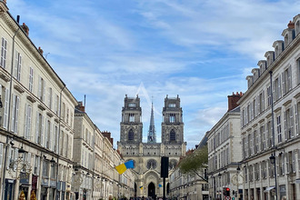  appartement orleans 45000