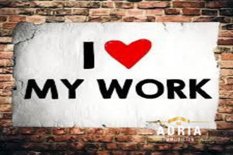  appartement orleans 45100