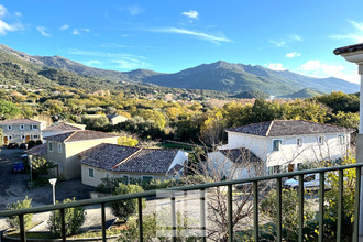  appartement patrimonio 20253