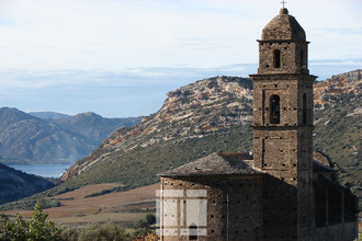  appartement patrimonio 20253