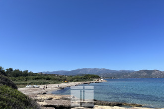  appartement patrimonio 20253