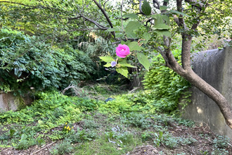  appartement pelissanne 13330