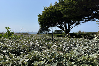  appartement ploemeur 56270