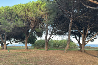  appartement poggio-mezzana 20230