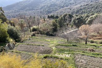  appartement porri 20215