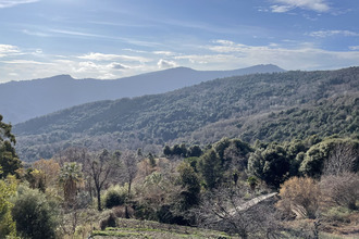  appartement porri 20215