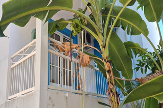  appartement possession 97419